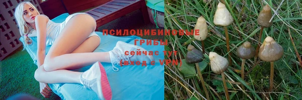 наркотики Алексеевка