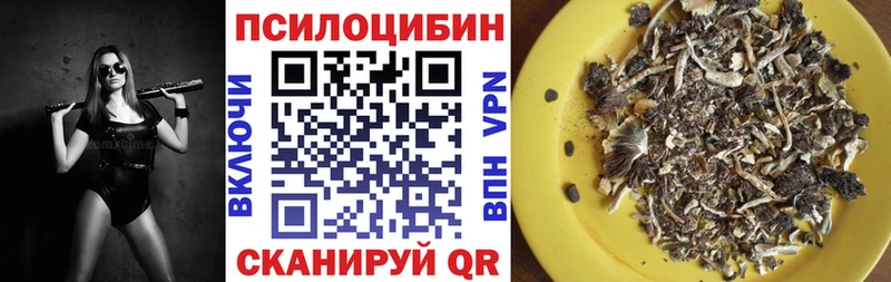 блэк спрут ссылки  где купить наркотик  Изобильный  Галлюциногенные грибы ЛСД 